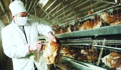 广州现全球第二例人感染H5N6禽流感